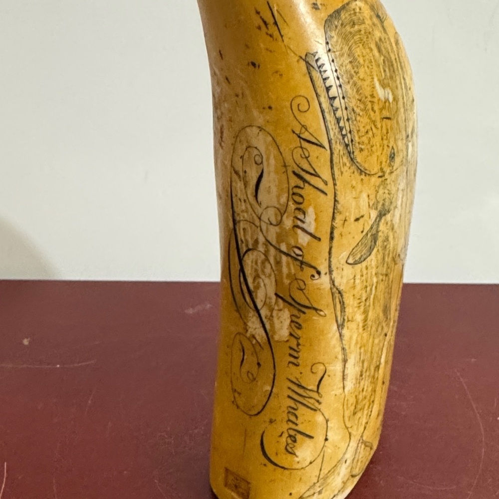 SCRIMSHAW REPLICA RESIN SPERM WHALE TOOTH SHOAL OF WHALES ARTEK MS ANCHOR LOGO - Picture 7 of 14